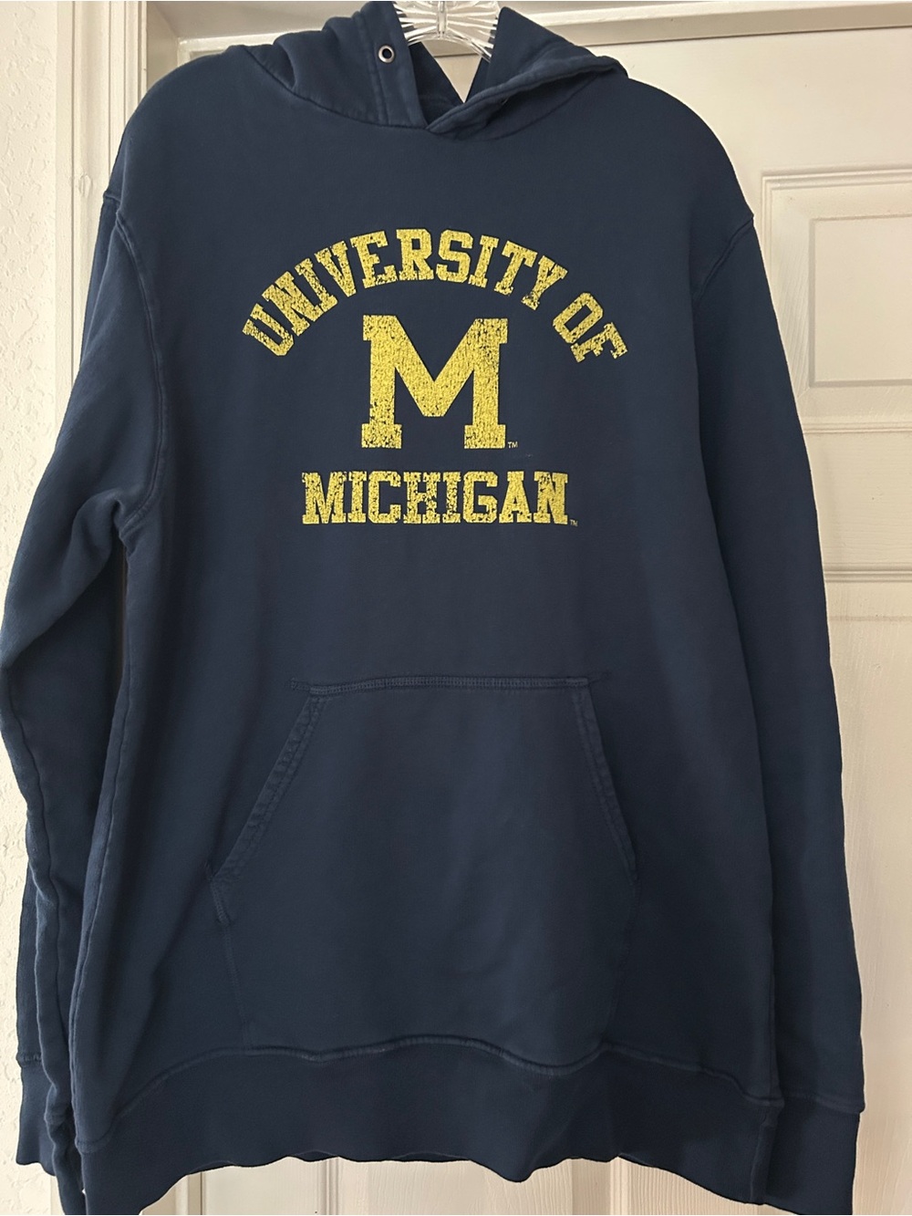 Men's Michigan University Hoodie